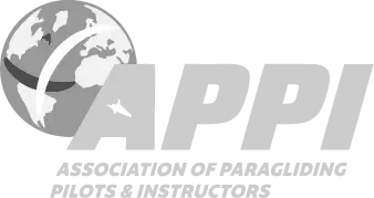 logo-appi-greyscale